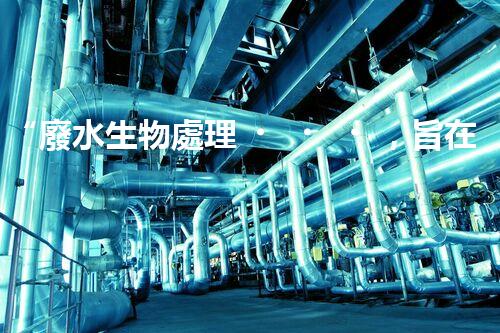 “廢水生物處理，旨在凈化水源，守護碧水藍天”
